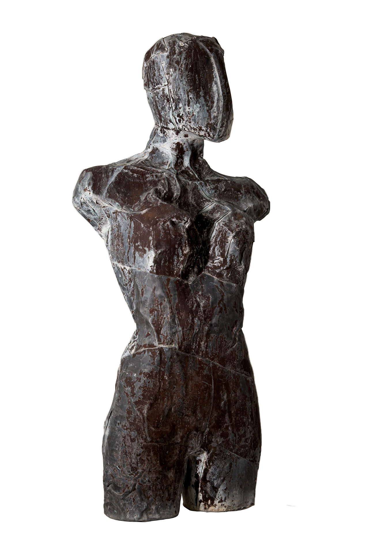 Torso di donna con testa (serie "in contaminazione")