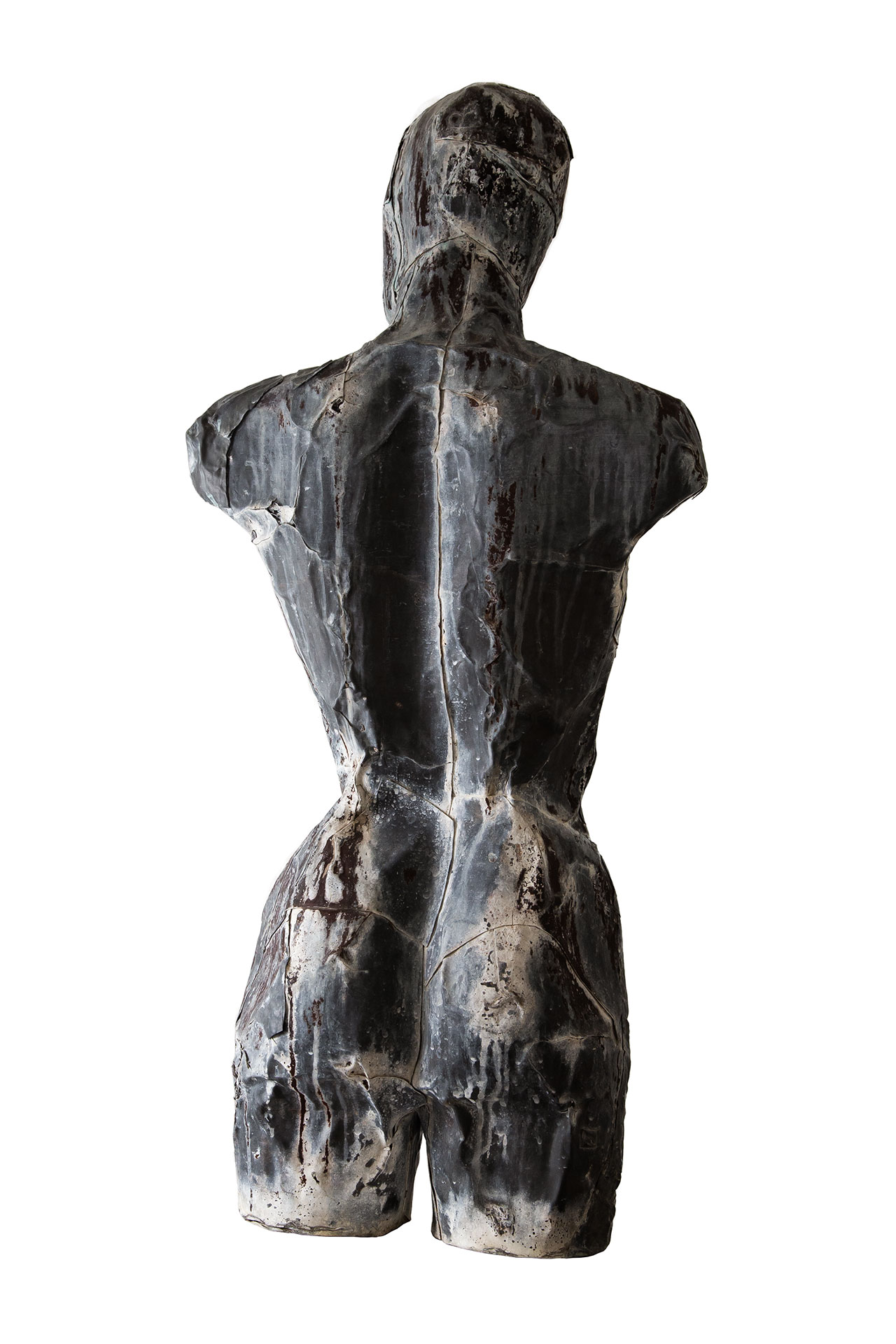 Torso di donna con testa (serie "in contaminazione")