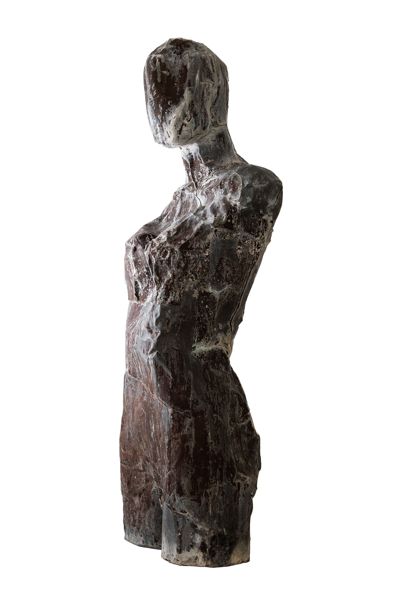 Torso di donna con testa (serie "in contaminazione")
