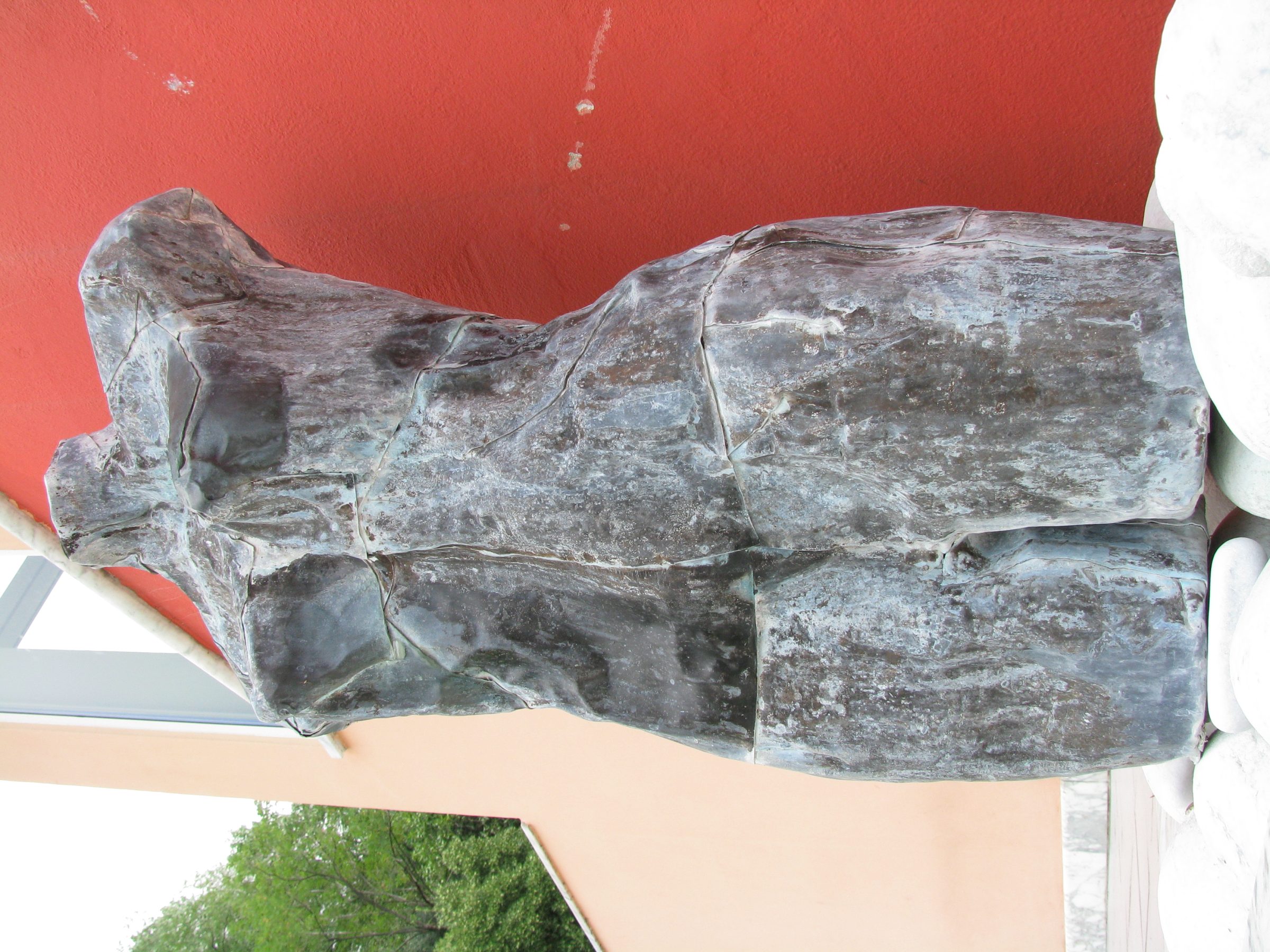Torso di uomo senza testa (serie "in contaminazione")