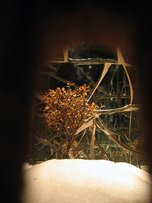 Inside